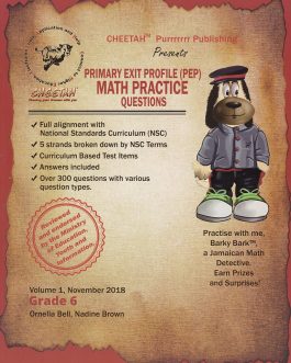 Cheetah Primary Exit Profile Math Practice Questions