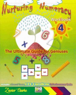 Nurturing Numeracy Workbook 4