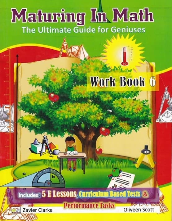 Maturing in Math Workbook 6